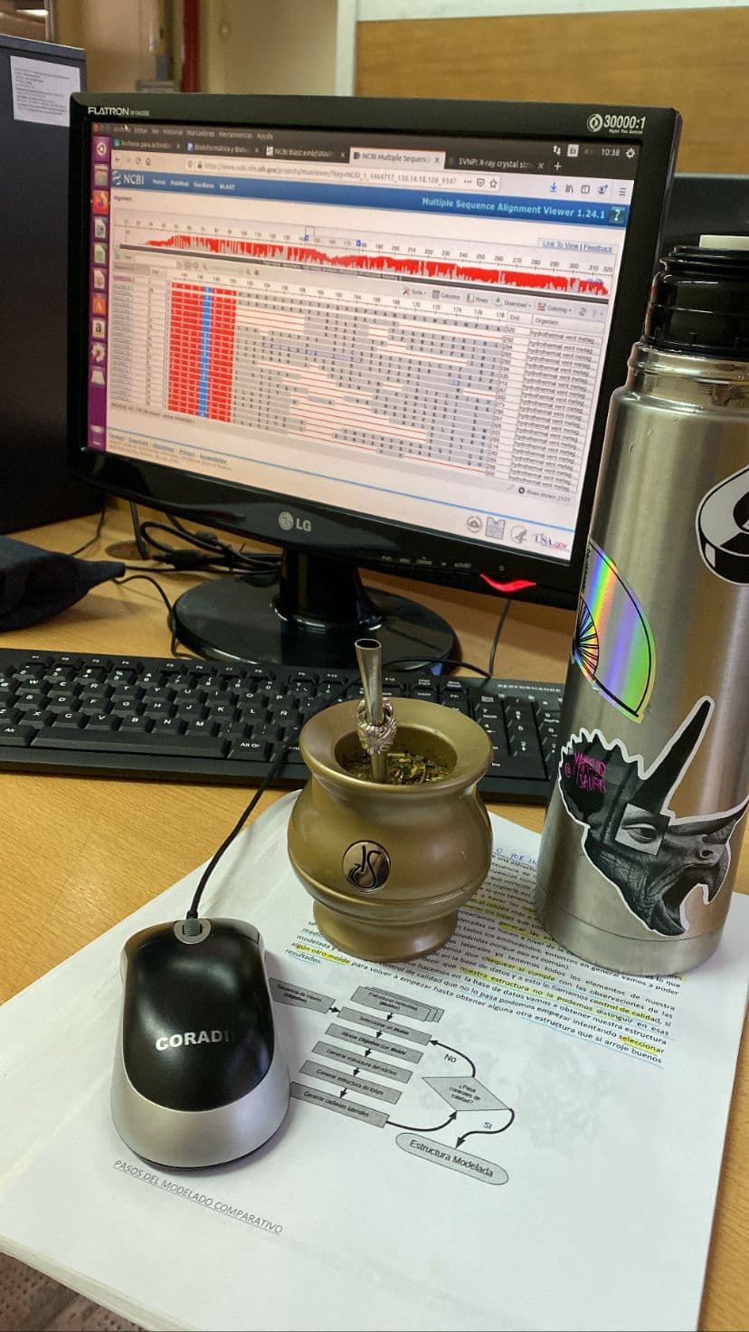 mate while studying traditional argentine drinks