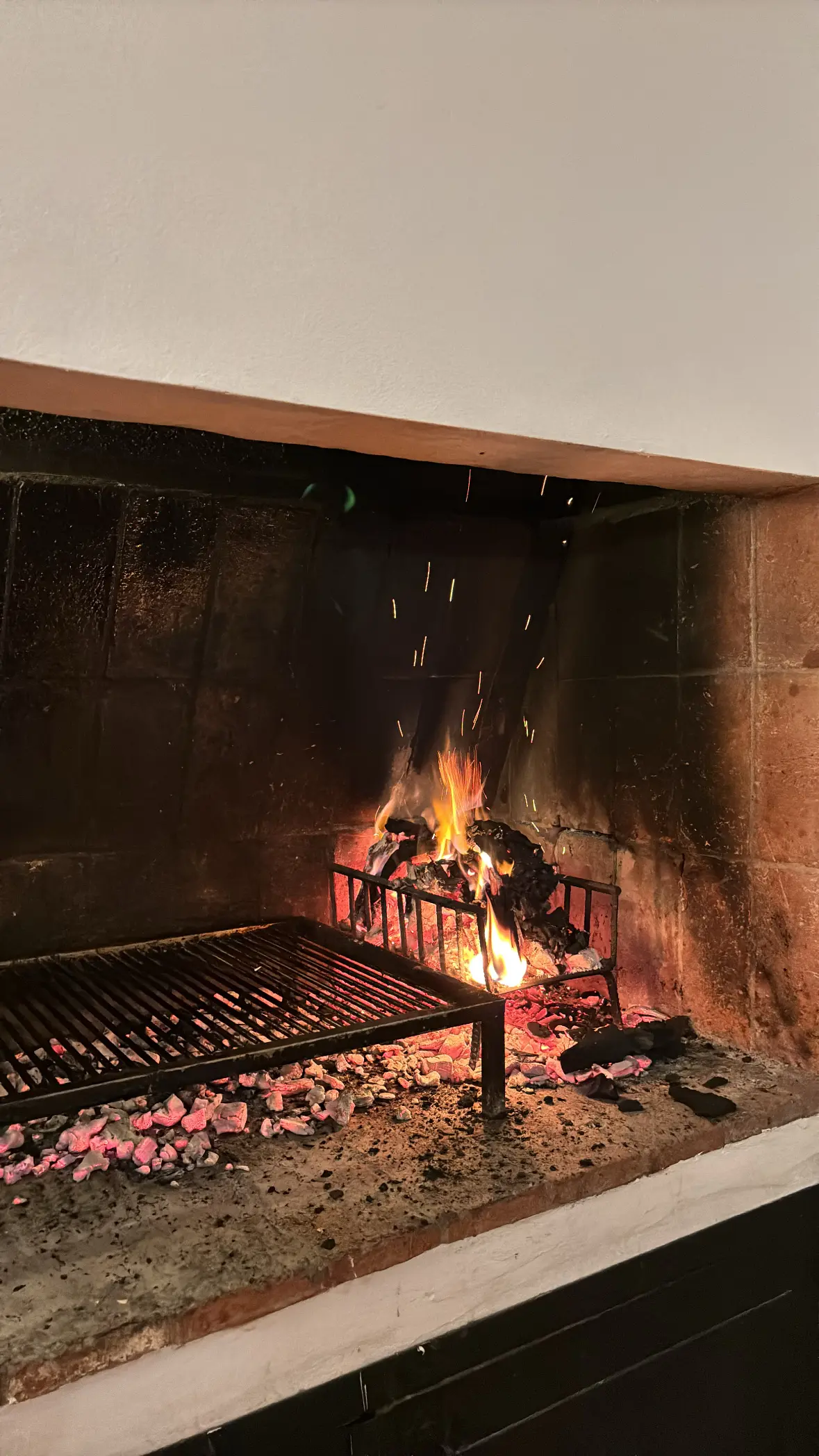 argentine asado fire