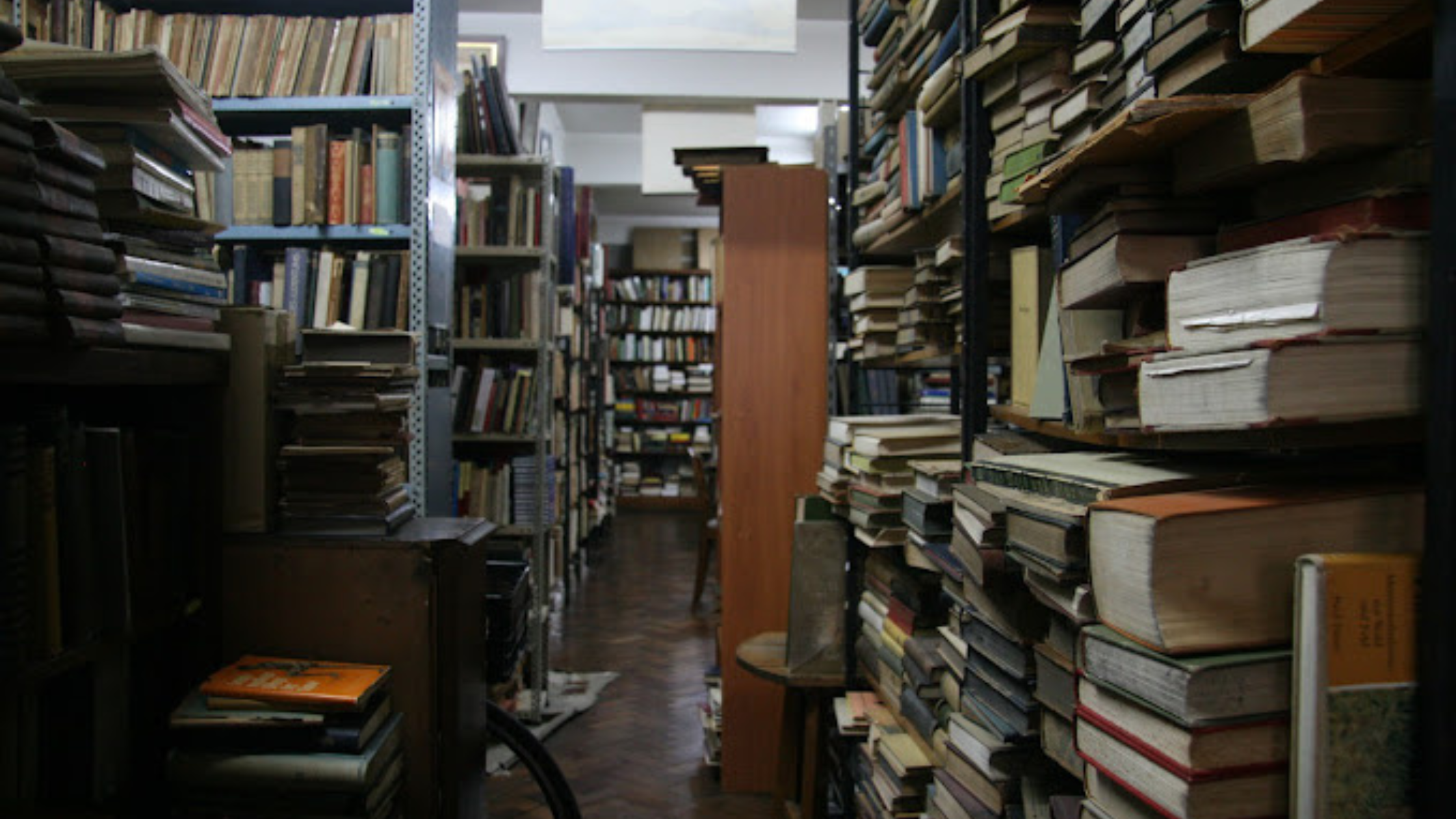 Shelves full of books to spend the whole afternoon browsing through the pages of books